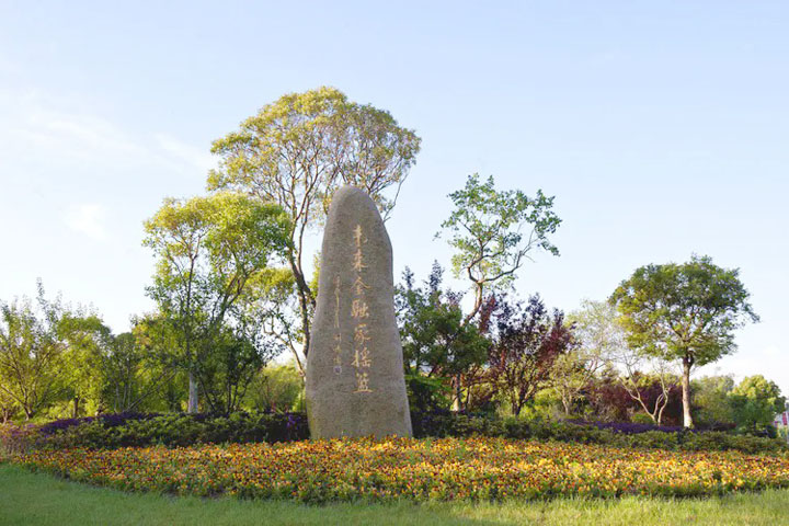 立信SQA国际本科