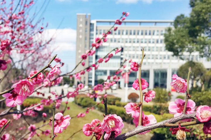 立信SQA国际本科